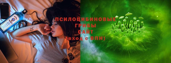 молекула духа Чита