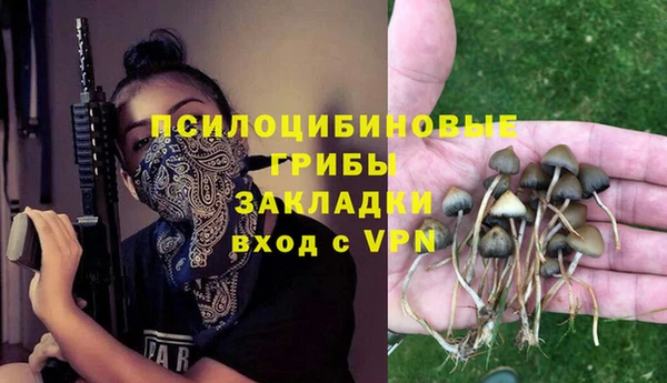 прущие крисы Краснотурьинск